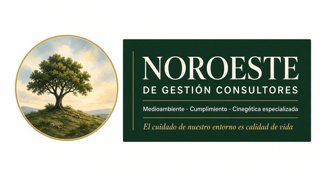 Noroeste de Gestión Consultores